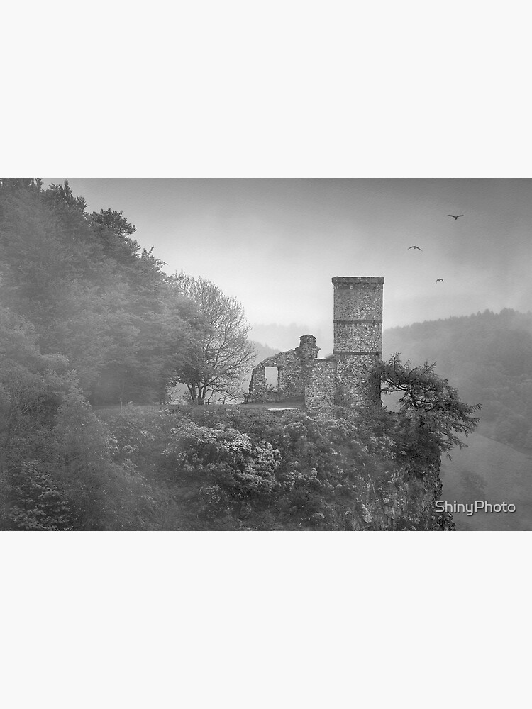 Kinnoull Hill Mist by ShinyPhoto