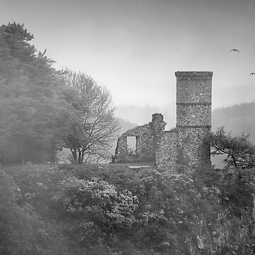 Artwork thumbnail, Kinnoull Hill Mist by ShinyPhoto