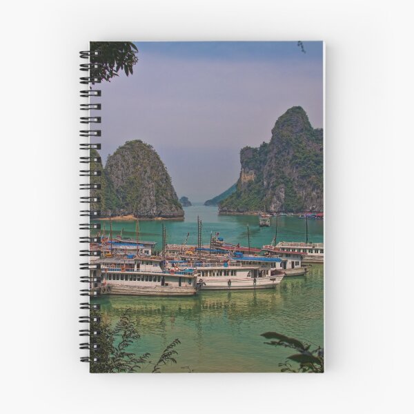 Item preview, Vietnam. Halong Bay. From one of the islands. designed and sold by vadim19.