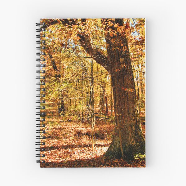 Item preview, "Color Me Fall, Part 1," Photo, for prints and products designed and sold by Bob Hall©.