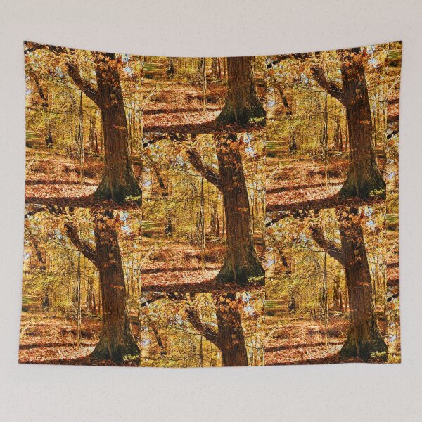 Item preview, "Color Me Fall, Part 1," Photo, for prints and products designed and sold by Bob Hall©.
