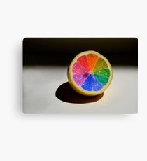 Lemon Colour Wheel Canvas Print