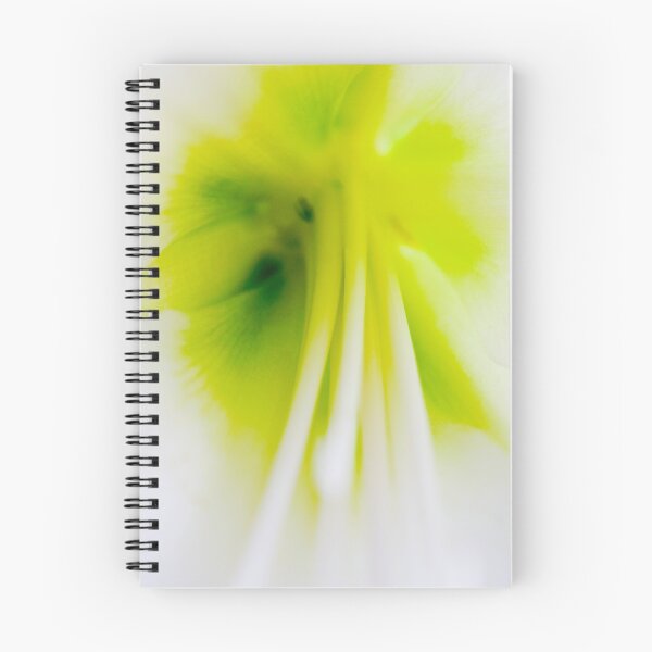 Item preview, Quietude designed and sold by Denis Charbonnier.
