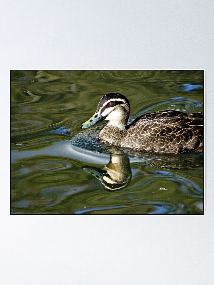 Thumbnail 1 of 3, Poster, Rippled Effects designed and sold by Rinaldo44.