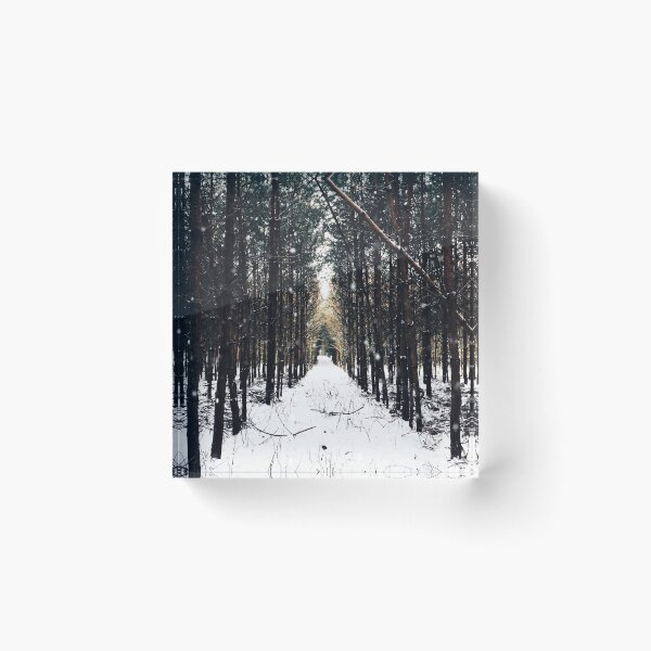Item preview, Forest Art Print designed and sold by ZonieDesign.
