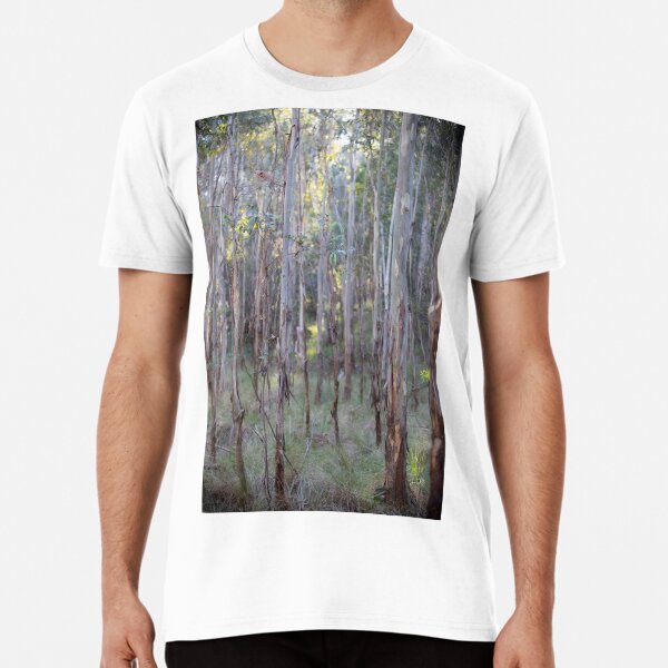 Eucalyptus Trees, Tidbinbilla Nature Reserve, Canberra Premium T-Shirt
