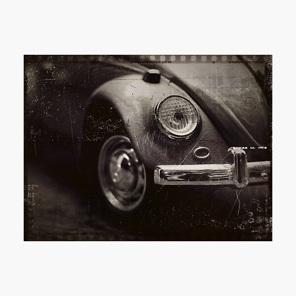 Bug Eye Photographic Print