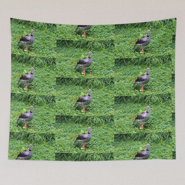 Item preview, Crested Screamer Bird Photograph designed and sold by smoothinsomniac.