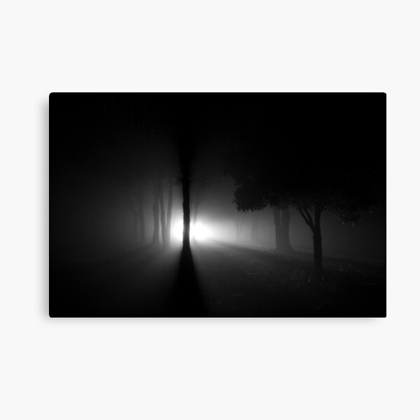 Twilight Fog Canvas Print