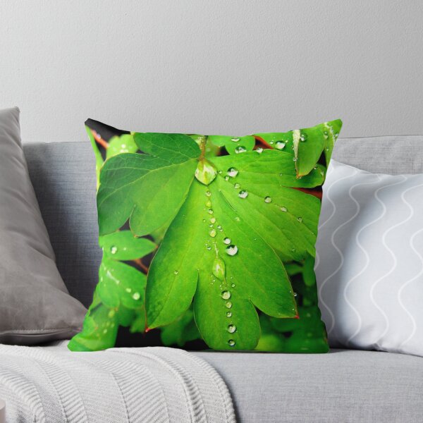 Artikelvorschau, Water drops on a leaf. entworfen und verkauft von K5335fS8.