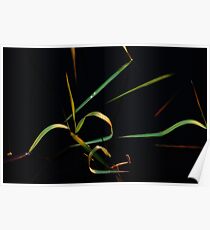 Infinity Poster