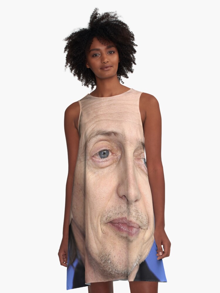 Steve Buscemi A Line Dress