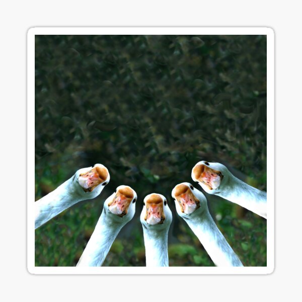 Item preview, Sticky Beak - by Avril Thomas designed and sold by AvrilThomasart.