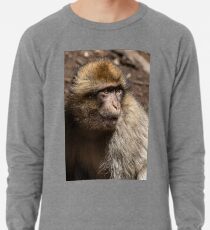 Wild Boy Lightweight Sweatshirt