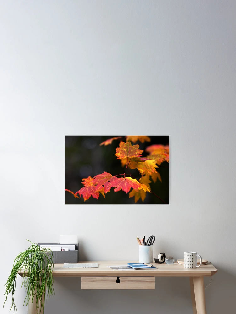 Thumbnail 2 of 3, Poster, Winter Approaches designed and sold by Randall Ingalls.