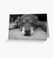 Bored Puppy Greeting Card