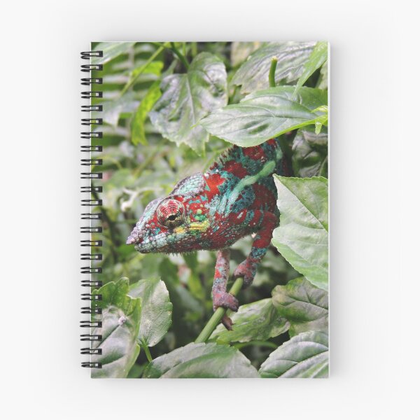Item preview, Can You See Me? designed and sold by Alexandra Lavizzari.
