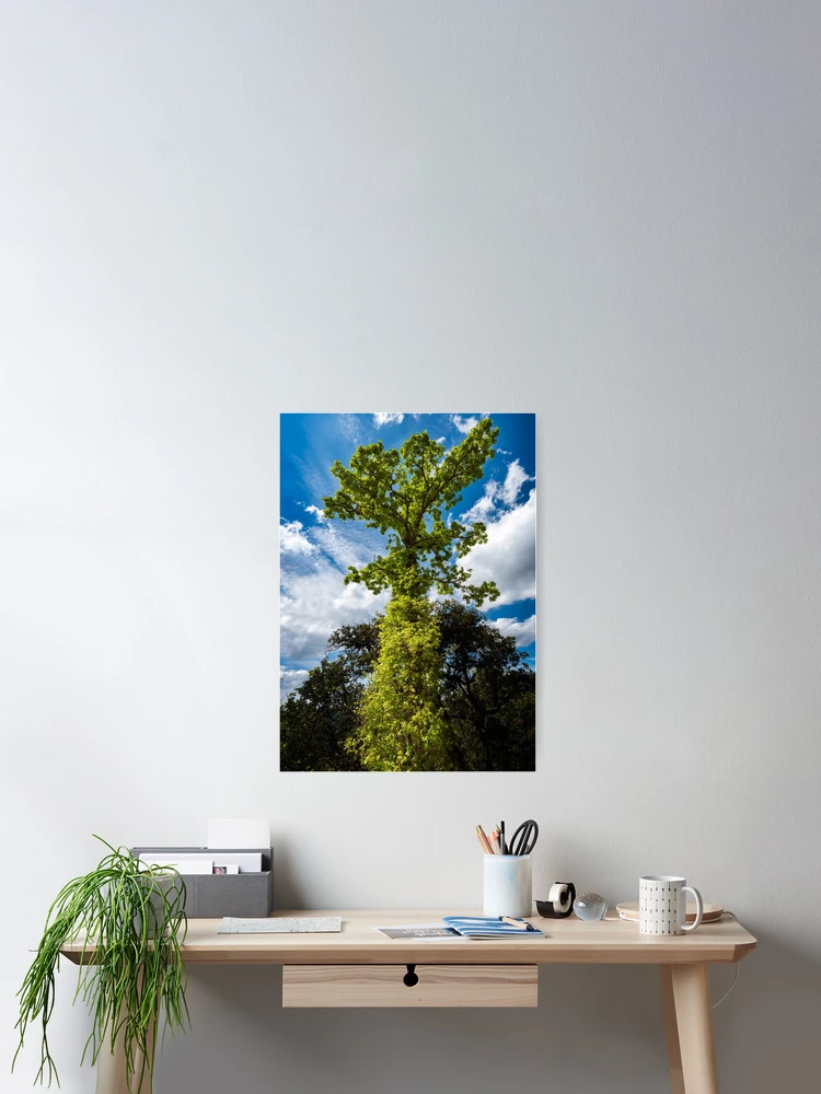 Thumbnail 2 of 3, Poster, Standing Out designed and sold by Ralph Goldsmith.