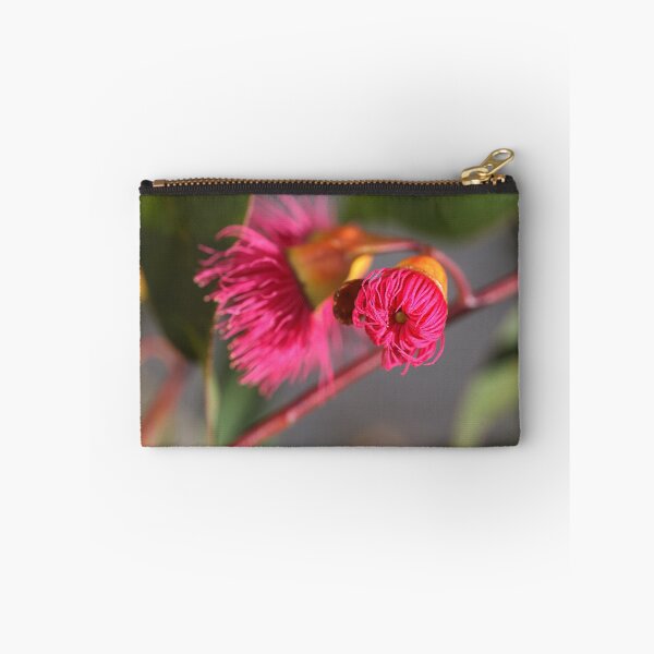 Item preview, Eucalyptus About To Straighten Its Legs designed and sold by Joy Watson - Natural Light Photography .