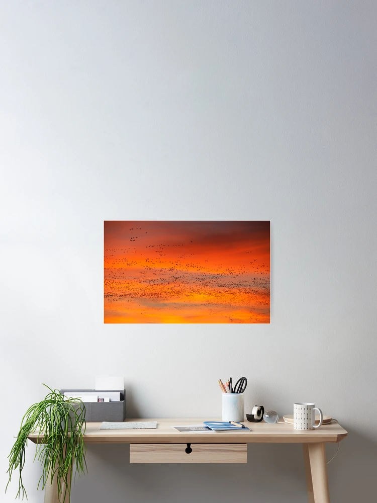 Thumbnail 2 of 3, Poster, Morning Migration designed and sold by Randall Ingalls.