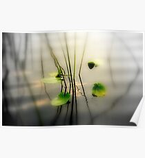 ZEN perfect Poster