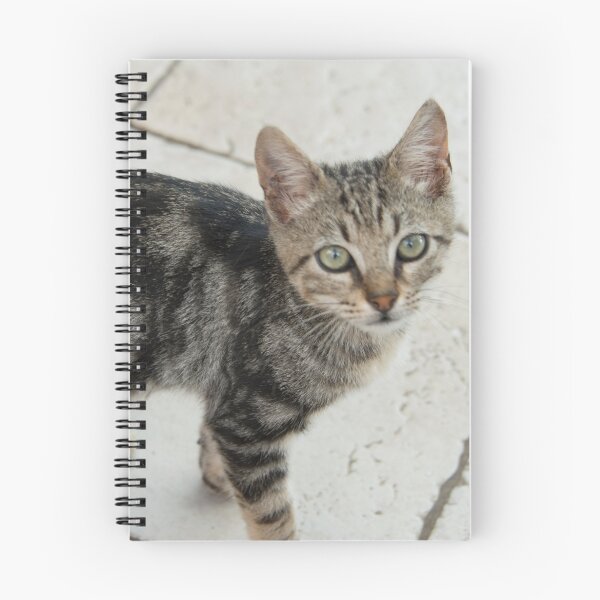 Item preview, Cat K  designed and sold by hawkie.