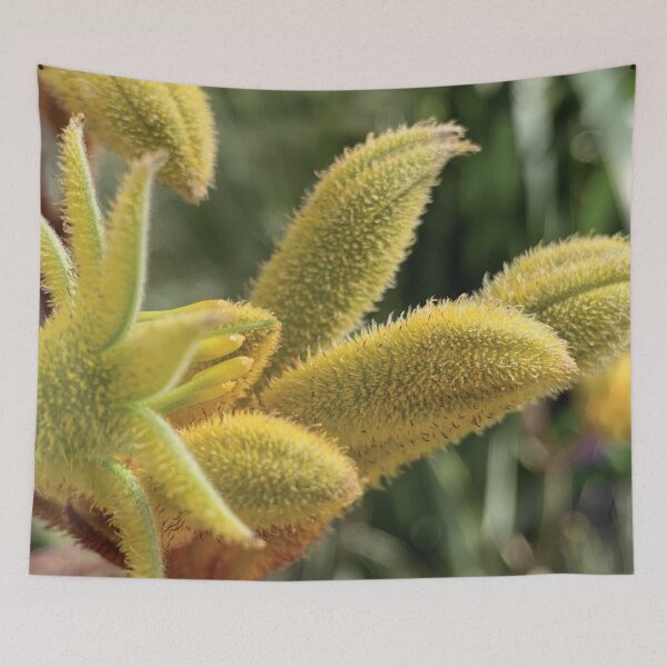 Item preview, Yellow Kangaroo Paw designed and sold by Gubbz.