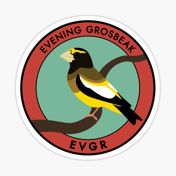 Evening Grosbeak Sticker