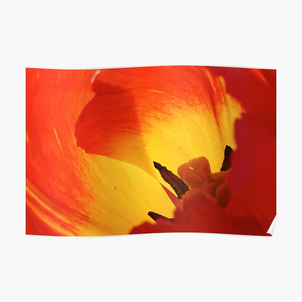 inside the fire's heart Poster