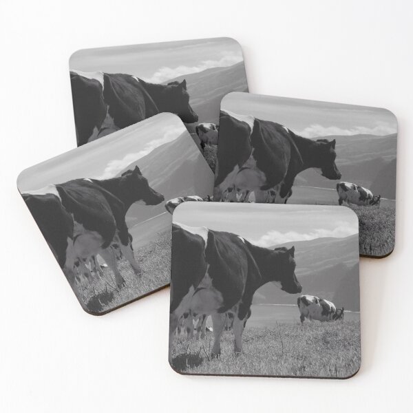 Item preview, Cows, Azores islands designed and sold by Gaspar Avila.