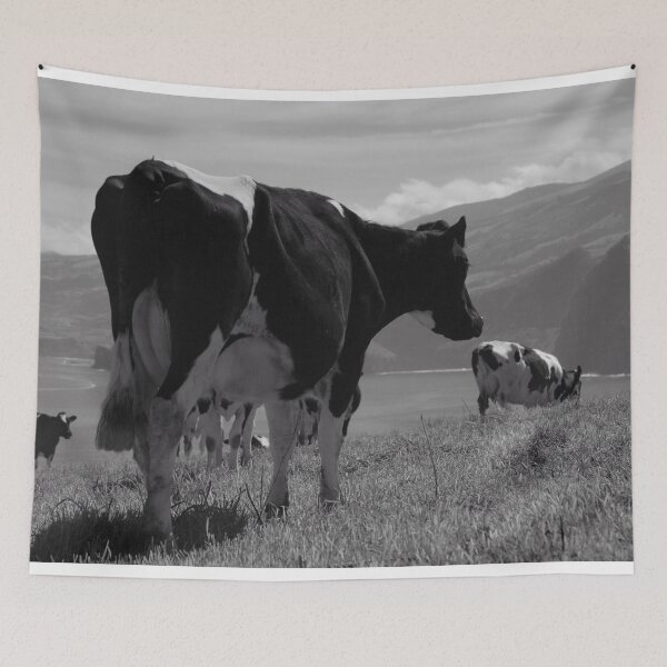 Item preview, Cows, Azores islands designed and sold by Gaspar Avila.