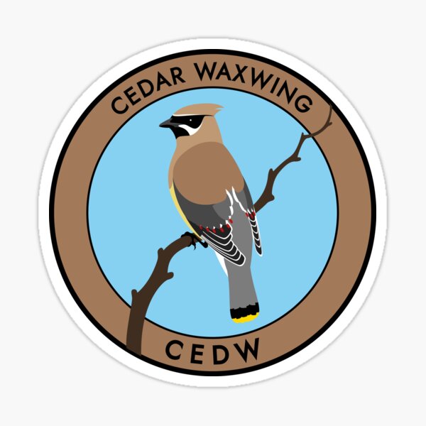 Cedar Waxwing Sticker