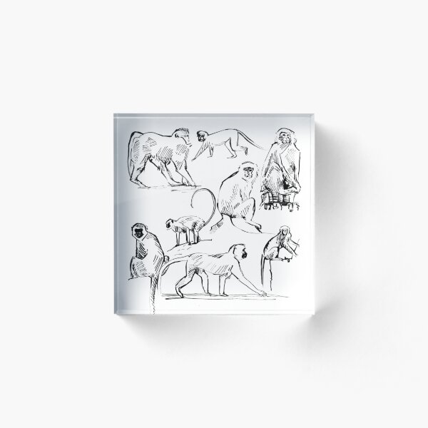 Monkey Green Acrylic Block