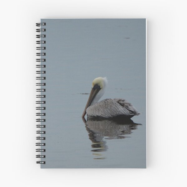 Aperçu de l'œuvre Pelican Floating créée et vendue par Scott Dovey.