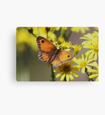 Gatekeeper Canvas Print