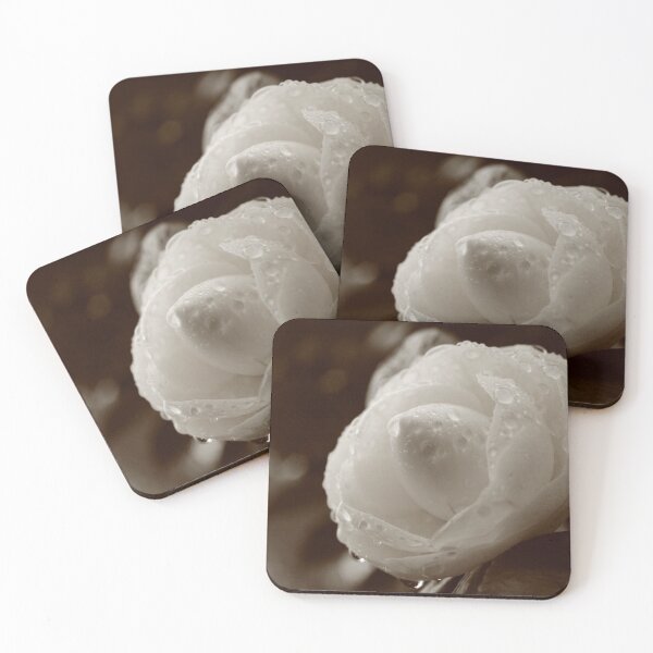 Item preview, Camellia japonica designed and sold by Gaspar Avila.