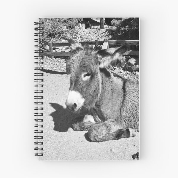 Item preview, Black and white Burro  designed and sold by hawkie.