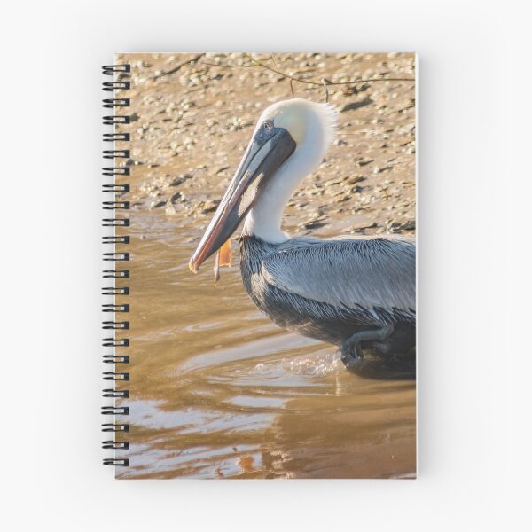 Item preview, Wader bird of Calabash designed and sold by KensLensDesigns.