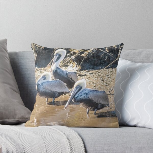 Item preview,  Brown pelican in Intracoastal Waterway  designed and sold by KensLensDesigns.