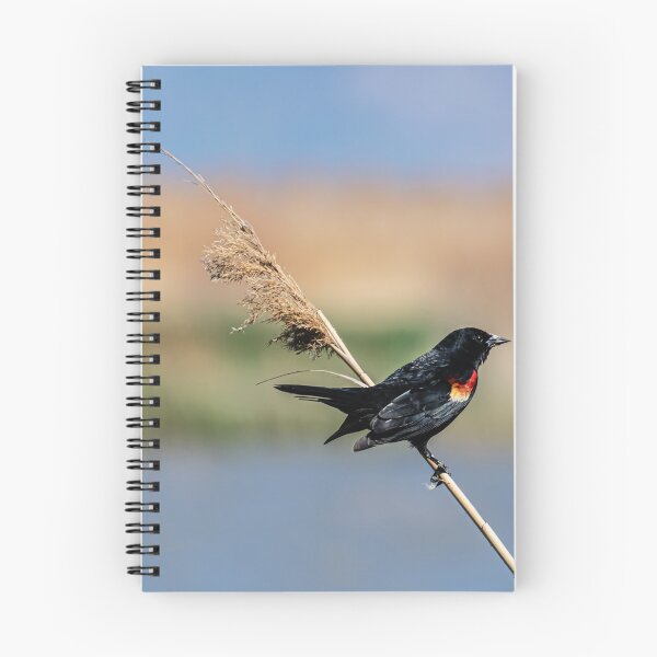 Item preview, Red-Winged Blackbird designed and sold by Len Bomba.