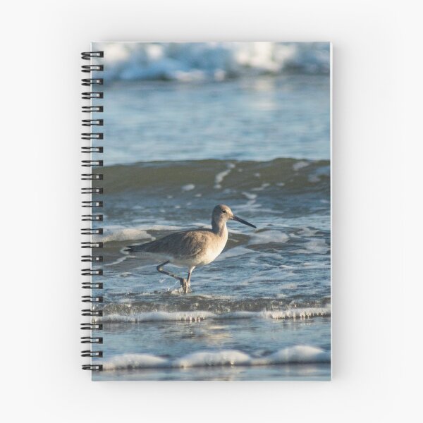 Item preview, Black-tailed godwit designed and sold by KensLensDesigns.