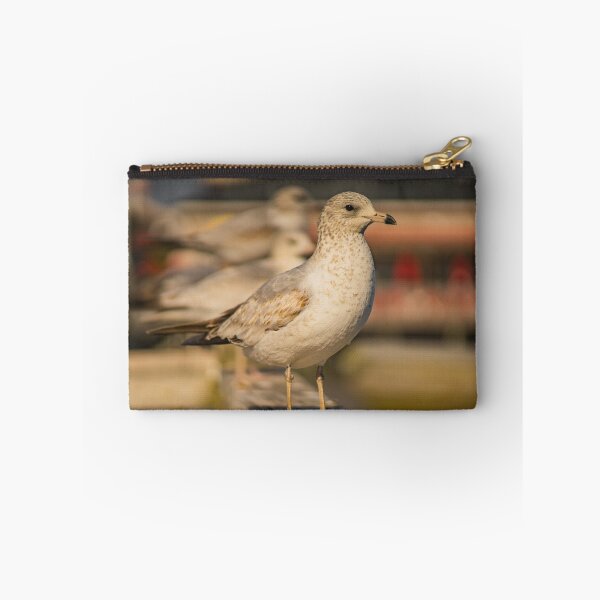 Item preview, Portrait of California gull designed and sold by KensLensDesigns.