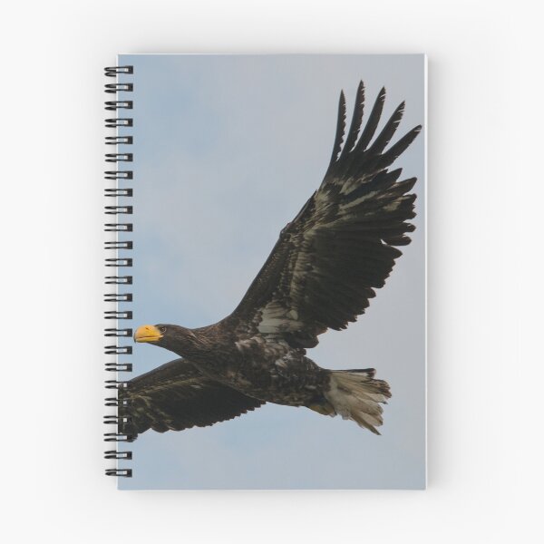Item preview,  Flight of the Eagle  designed and sold by hawkie.