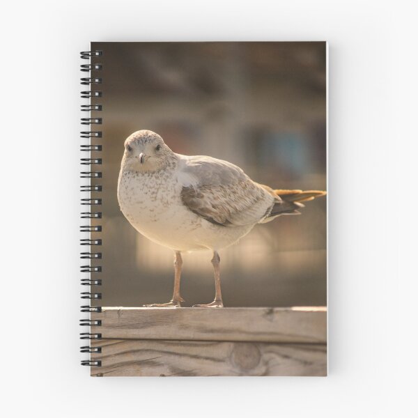 Item preview, Gull designed and sold by KensLensDesigns.