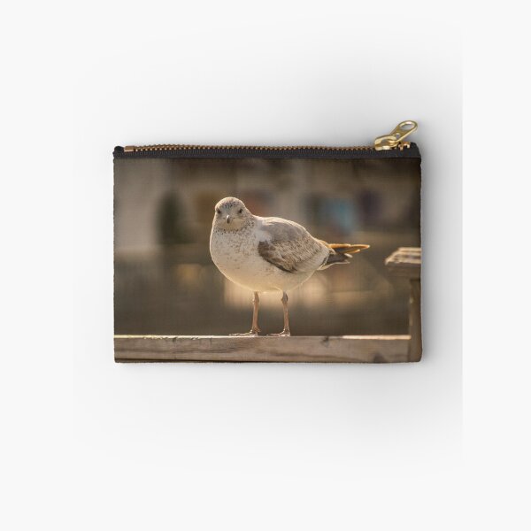 Item preview, Gull designed and sold by KensLensDesigns.