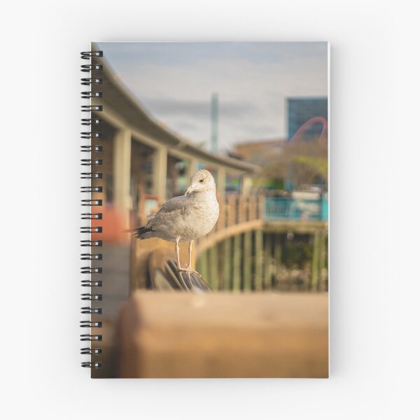 Item preview, Seagull in South Carolina designed and sold by KensLensDesigns.