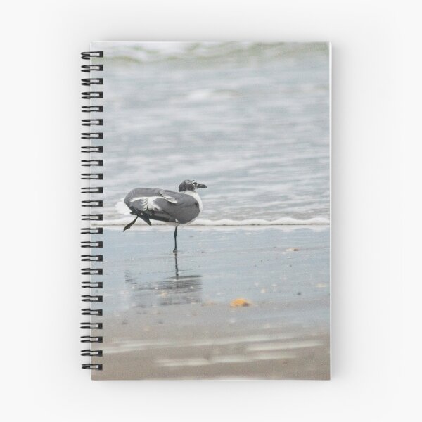 Item preview, Stretching gull designed and sold by KensLensDesigns.