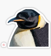 Penguin Sticker