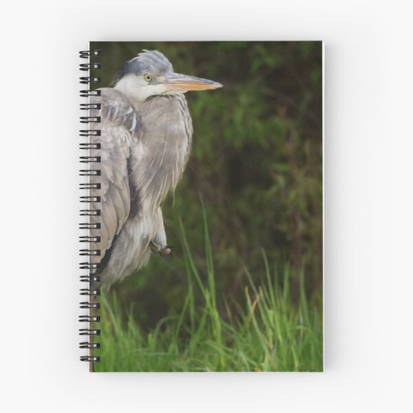 Item preview, Blue Heron designed and sold by Gaby Swanson.