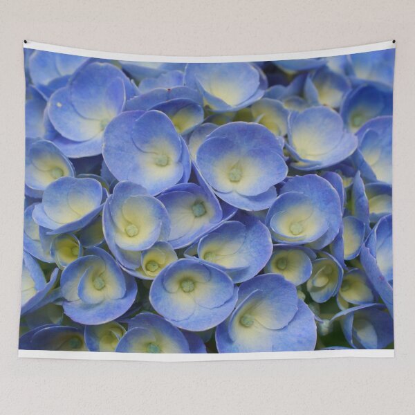 Item preview, Hydrangea closeup designed and sold by Gaspar Avila.